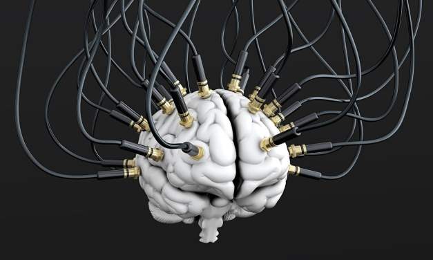 See It, Heal It: Visualization Techniques for MMA Injury Rehabilitation