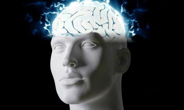 How Mental Imagery Transforms MMA Performance